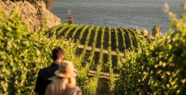 欧垦娜根河谷 (Okanagan Valley)